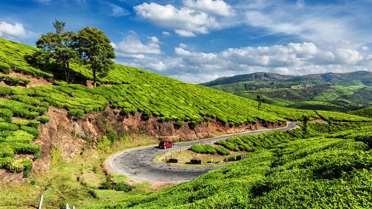 Day 1: Kochi to Munnar, (135 km)